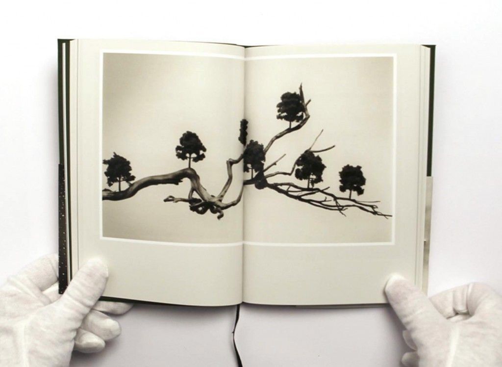 Tau Design - Catalogo Chema Madoz